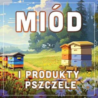 Baner reklamowy (100x100 cm) - wzór BR37-1x1