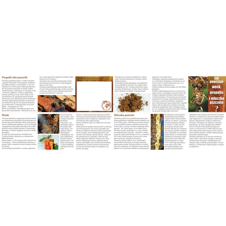 Ulotki "Jak powstaje wosk, propolis i mleczko pszczele?" (20szt) - U63