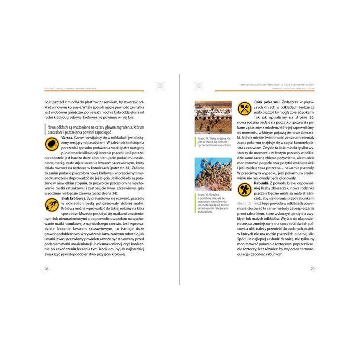 Książka "Letnie przerywanie czerwienia matki w walce z chorobami pszczół" - K271