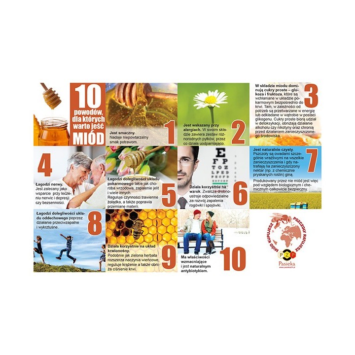 Ulotki informacyjne o miodzie "10 powodów dla których warto jeść miód" (20szt) - U70