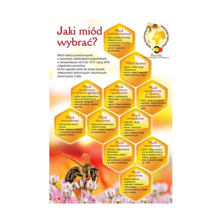 Ulotki informacyjne o miodzie "Jaki miód wybrać" (20szt) -  U71