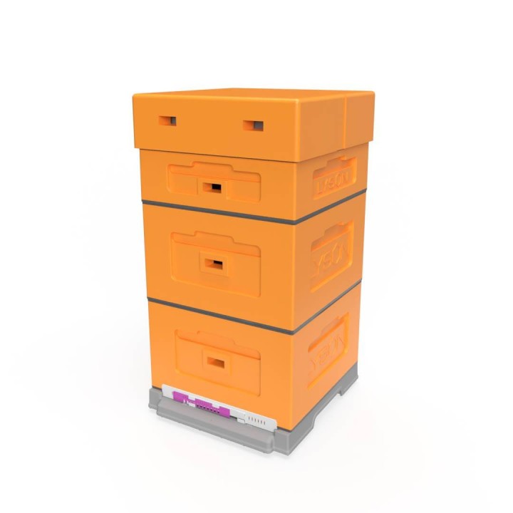 Ul wielkopolski OPTIMA, pomarańczowy, nieskręcony