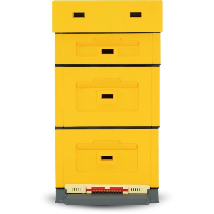 Ul wielkopolski OPTIMA, żółty, nieskręcony