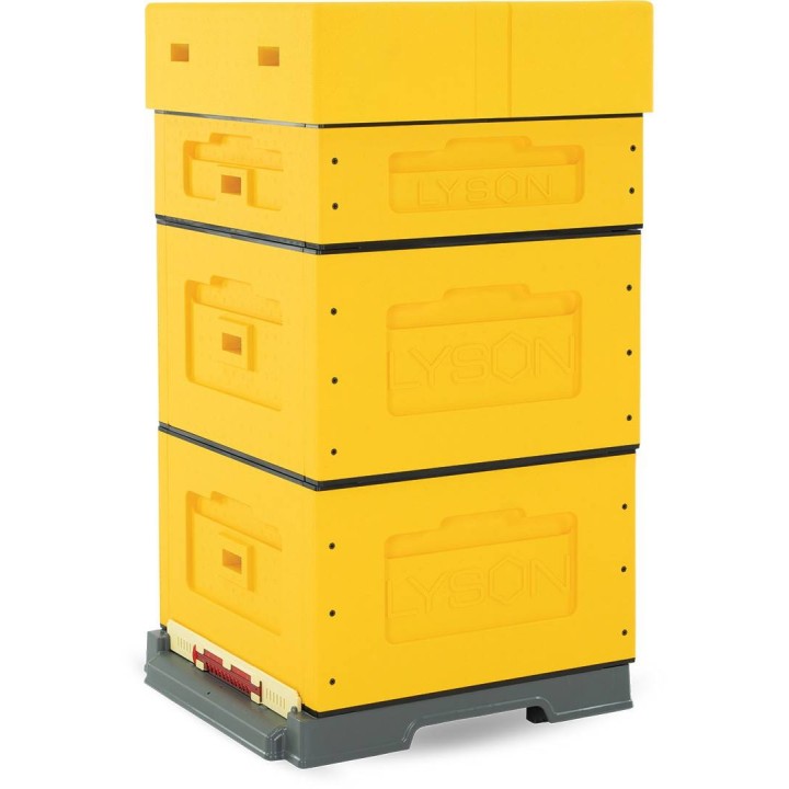 Ul wielkopolski OPTIMA, żółty, nieskręcony