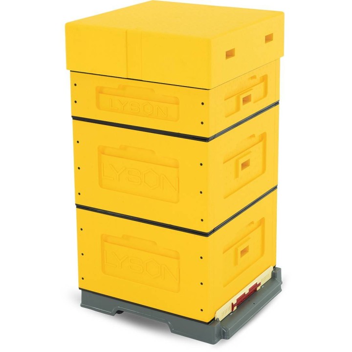 Ul wielkopolski OPTIMA, żółty, nieskręcony