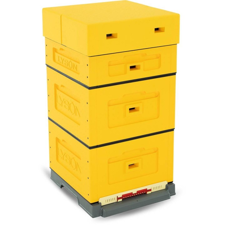 Ul wielkopolski OPTIMA, żółty, nieskręcony