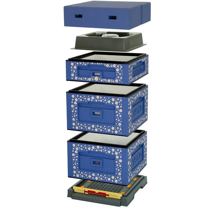 Ul wielkopolski OPTIMA, ciemnoniebieski, nadruk - stokrotka, nieskręcony