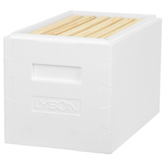 Korpus wielkopolski 6-ramkowy EPS - niemalowany - W1297