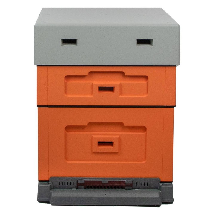 Ul wielkopolski OPTIMA, malowany, nieskręcony (pomarańczowy)