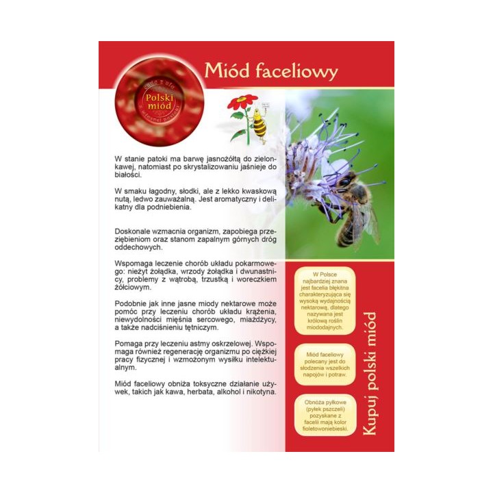 Broszurka informacyjna o miodzie - miód faceliowy (20szt) - U15