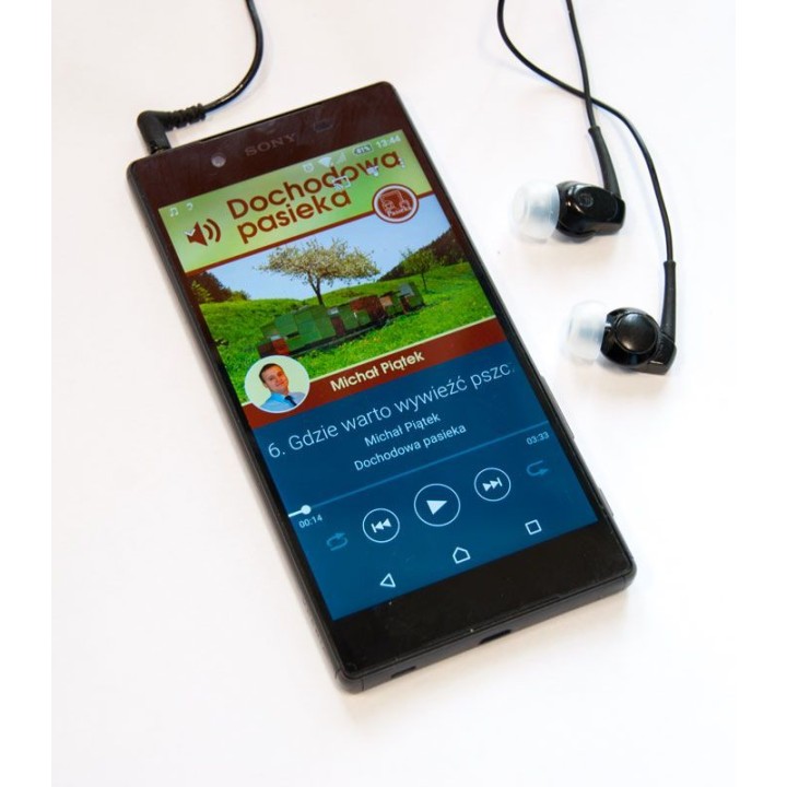 Audiobook "Dochodowa Pasieka" (Piątek Michał) K123A