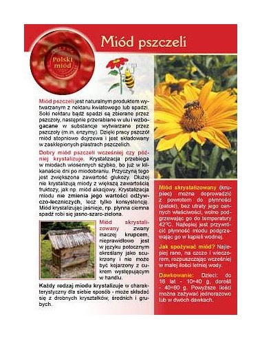 Broszurka informacyjna - miód pszczeli (20szt) - wzór U1