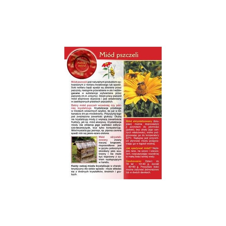 Broszurka informacyjna o miodzie - miód pszczeli (20szt) - U1