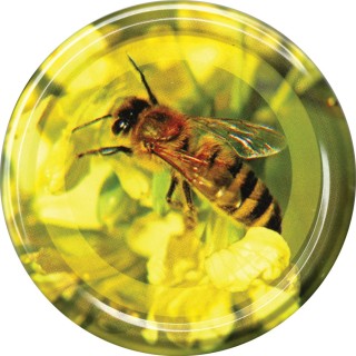 Paczka DUŻYCH nakrętek na słoiki z miodem (10szt) RZEPAK - wzór ND115ZGRZ