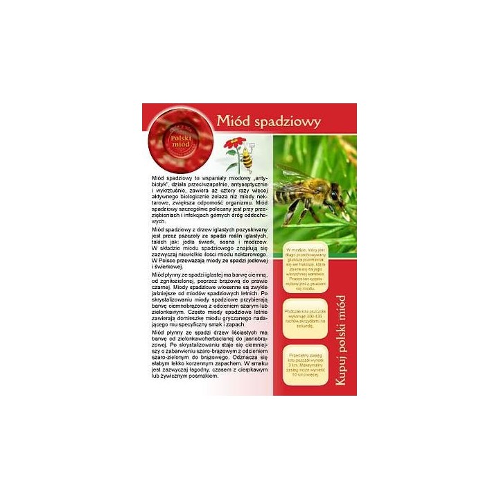 Broszurka informacyjna o miodzie - miód spadziowy (20szt) - U3