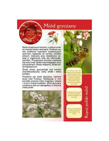 Broszurka informacyjna o miodzie - miód gryczany (20szt) - U4