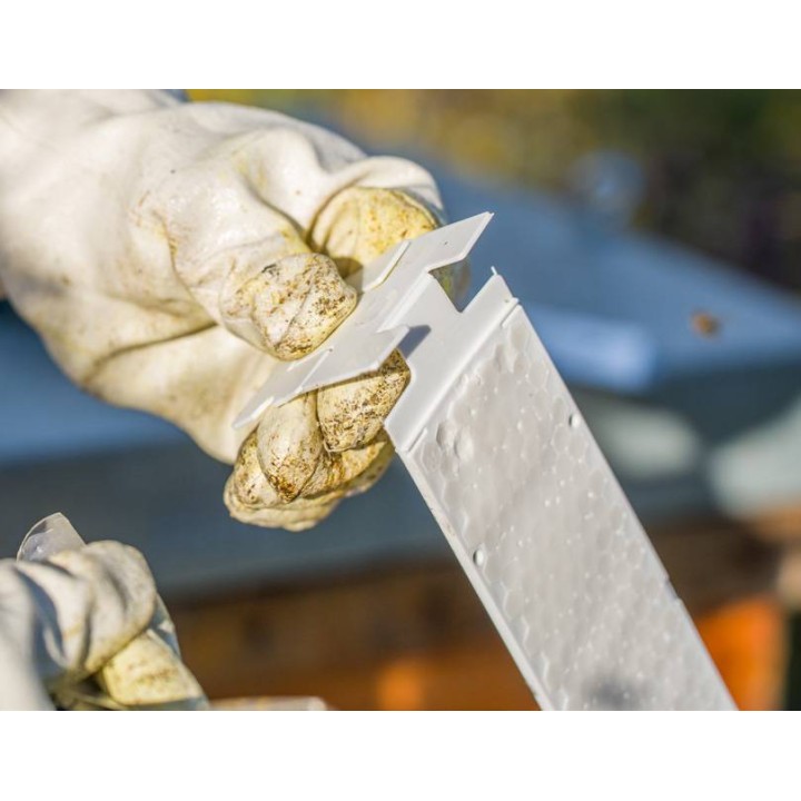 CALISTRIP® BIOX 10 pasków z kwasem szczawiowym - VITA25