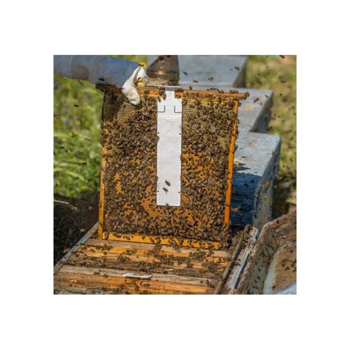 CALISTRIP® BIOX 10 pasków z kwasem szczawiowym - VITA25