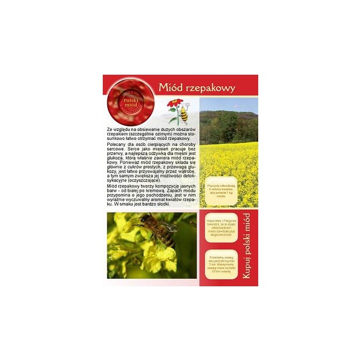 Broszurka informacyjna o miodzie - miód rzepakowy (20szt) - U6
