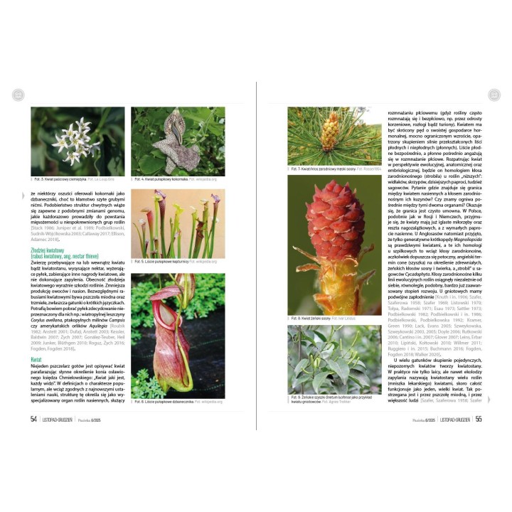 Pasieka nr 6/2025 (PAS134)