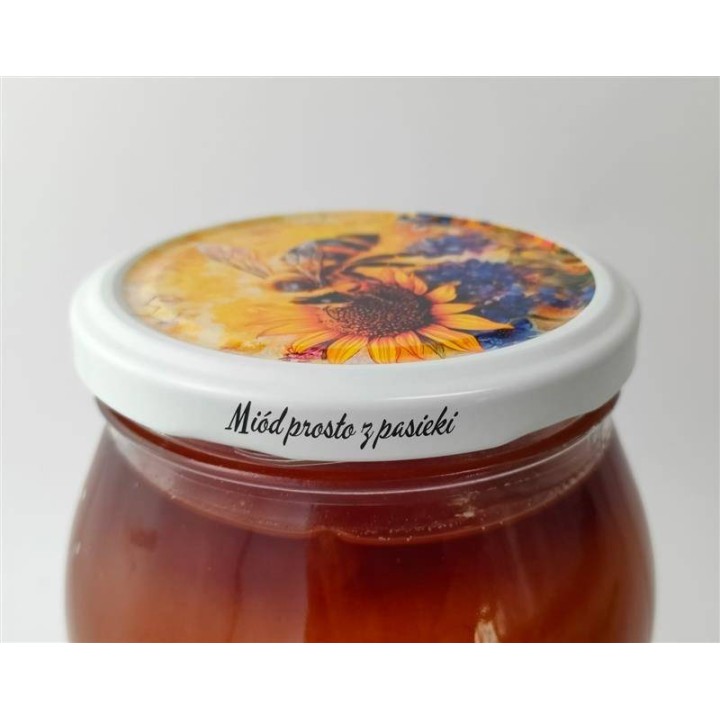 Karton zbiorczy (750 szt.) dużych nakrętek kolorowe z białą obwódką - wzór KND124