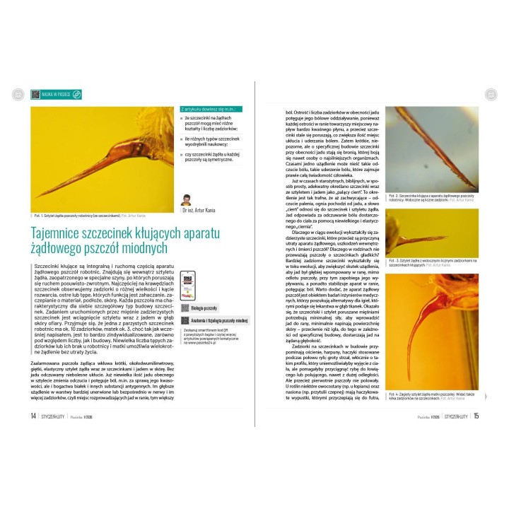 Pasieka nr 1/2025 (PAS135)