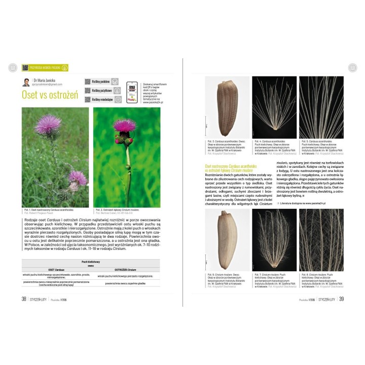 Pasieka nr 1/2025 (PAS135)