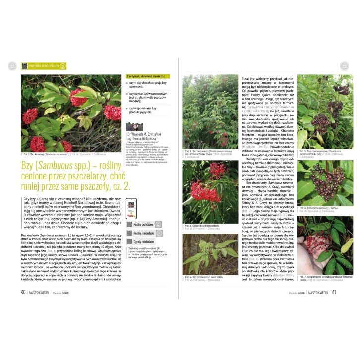 Pasieka nr 2/2025 (PAS136)