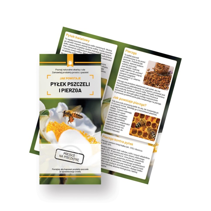 Ulotki JAK POWSTAJE PYŁEK PSZCZELI I PIERZGA ( 10 sztuk)  - U89