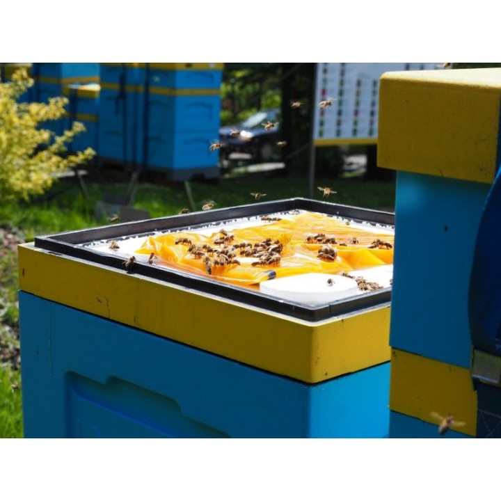 Apikand z pyłkiem - ciasto 10x1 kg - wzór 3244_10