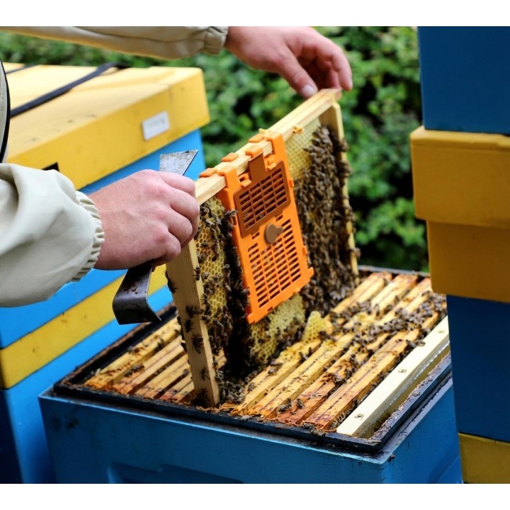 IzoVar Izolator matki pszczelej - uniwersalny - 30081