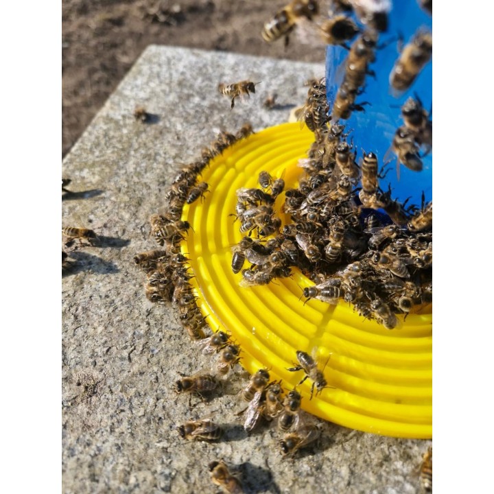 Poidło dla pszczół nakręcane na butelkę