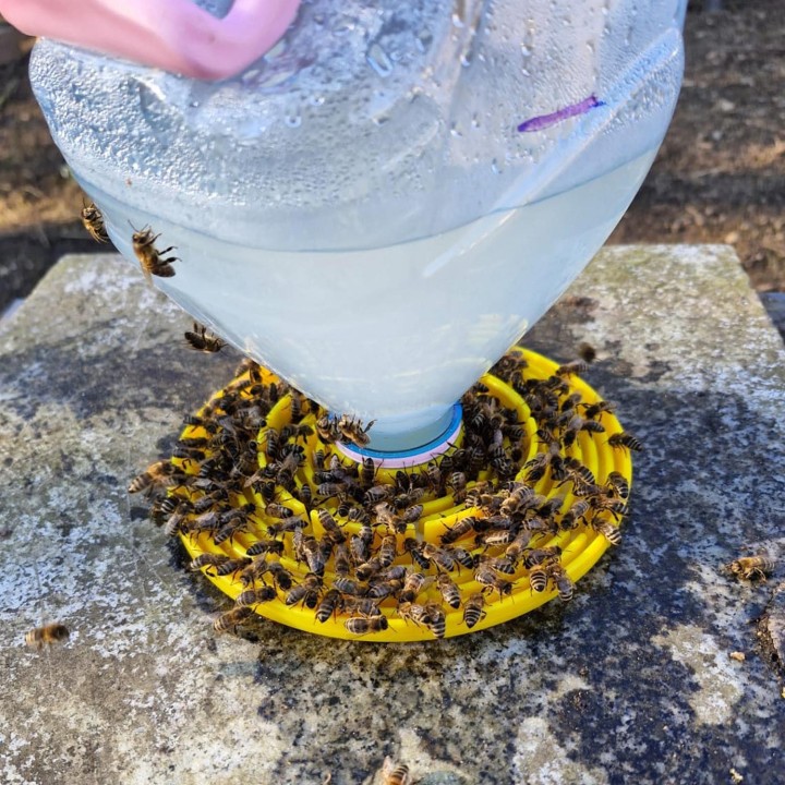 Poidło dla pszczół nakręcane na butelkę