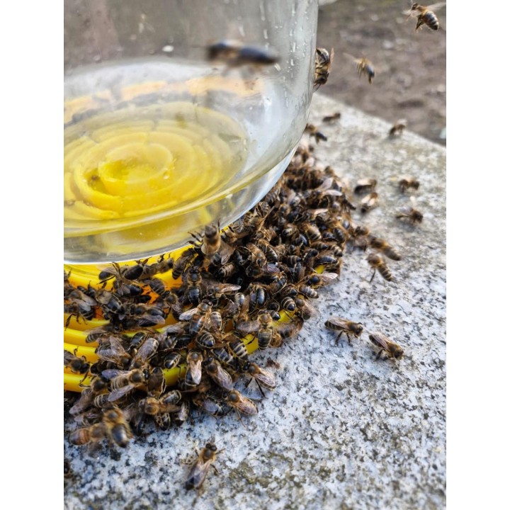 Poidło dla pszczół nakręcane na butelkę