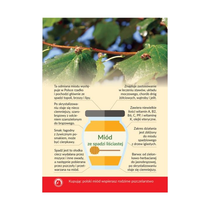 Karta informacyjna A4 "MIÓD ZE SPADZI LIŚCIASTEJ" - KI8