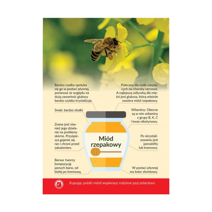 Karta informacyjna A4 "MIÓD RZEPAKOWY" - KI11