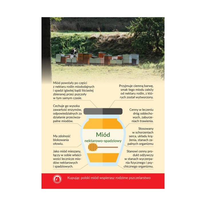 Karta informacyjna A4 "MIÓD NEKTAROWO-SPADZIOWY" - KI9