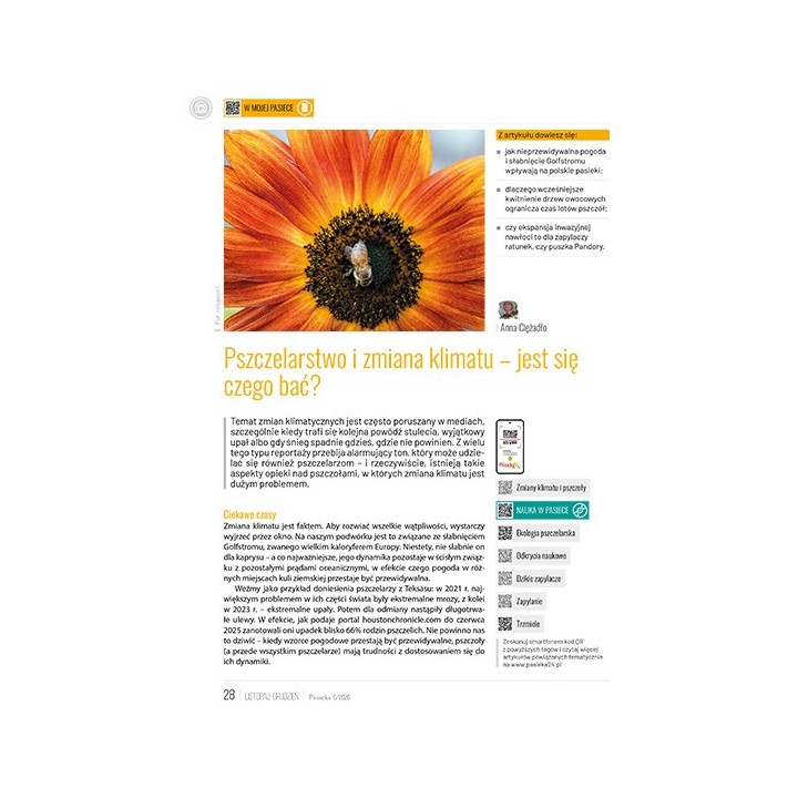 e-book: „Pasieka” nr 6/2026