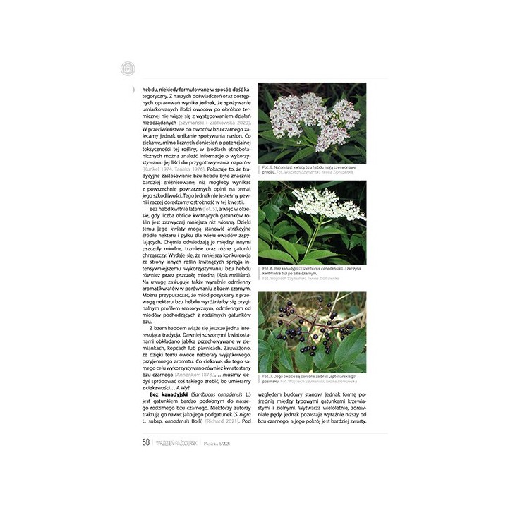 e-book: „Pasieka” nr 5/2026