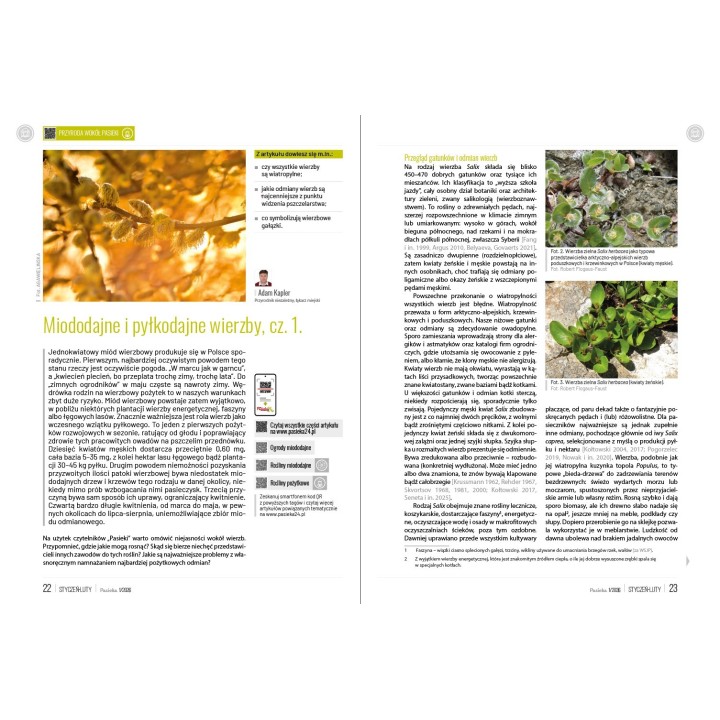 e-book: „Pasieka” nr 1/2026