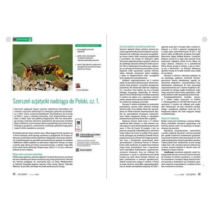e-book: „Pasieka” nr 4/2025