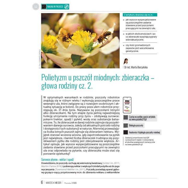 e-book: „Pasieka” nr 2/2025