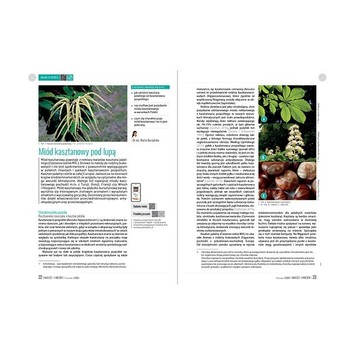 e-book: „Pasieka” nr 2/2023