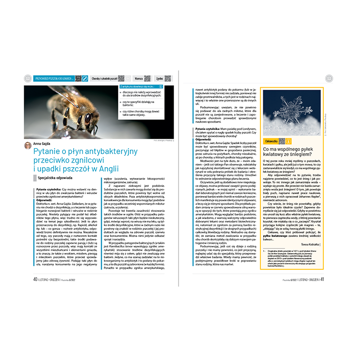 e-book: „Pasieka” nr 6/2022