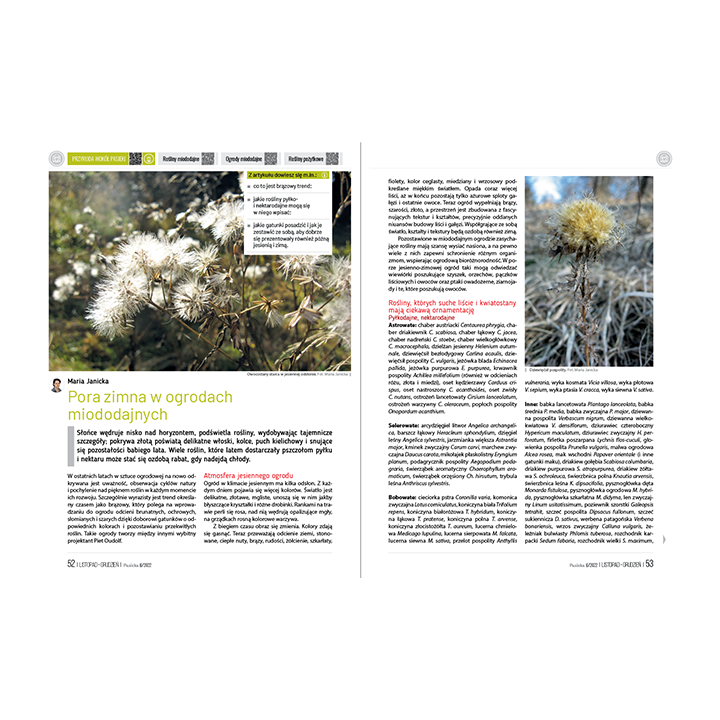 e-book: „Pasieka” nr 6/2022