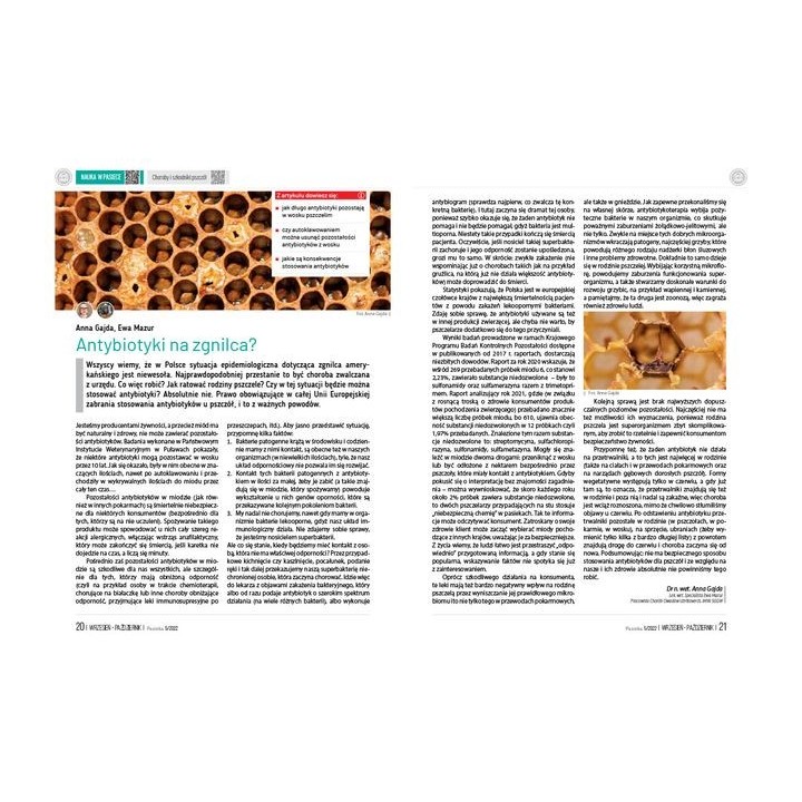 e-book: „Pasieka” nr 5/2022