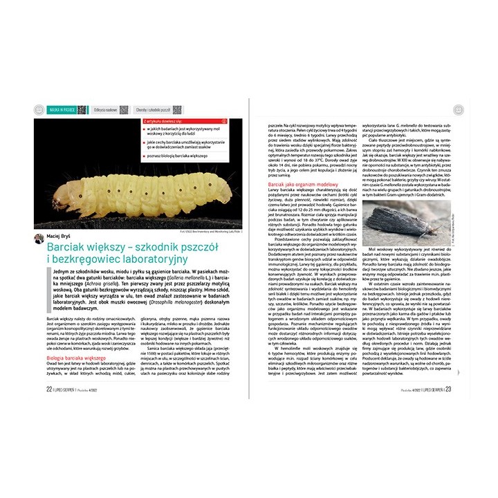 e-book: „Pasieka” nr 4/2022