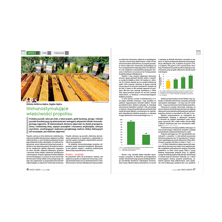 e-book: „Pasieka” nr 2/2022