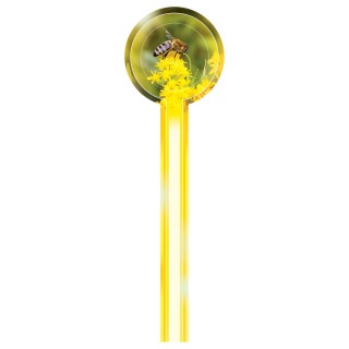 Banderole okrągła na miód 41x145mm (100szt)