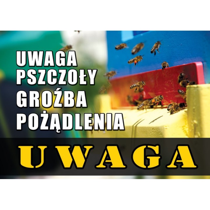 Duża tablica ostrzegawcza - wzór F313